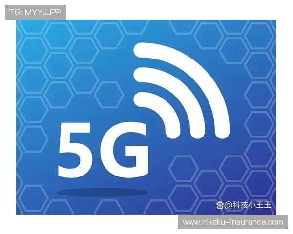 开云网络在5G时代的网络架构升级与未来发展方向展望