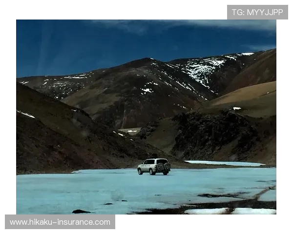 开云体育登录遇到问题怎么办？详细解决方案帮助你顺利登录