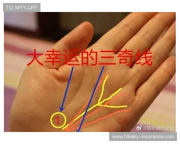 开运平台官网上那些令人心动的手相测算和八字分析服务 开运平台官网上那些令人心动的手相测算和八字分析服务