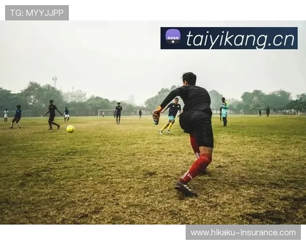 开云体育网站用户评价与口碑分析助你选择最值得信赖的体育平台