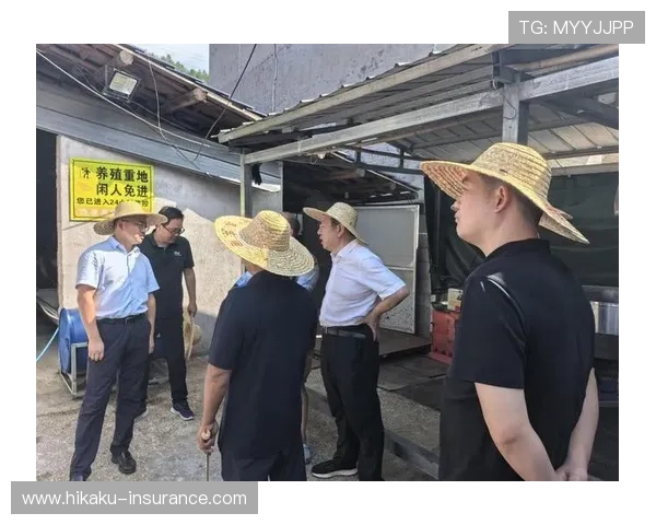 开云品牌的环保与可持续发展实践，了解其在行业中的责任担当与未来规划